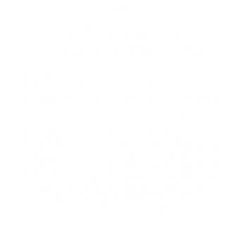 EAZYHAIR-logo-grijs